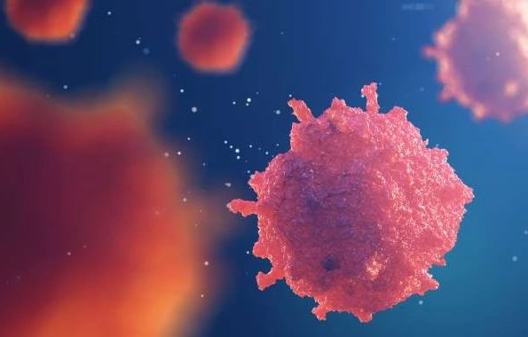 Loại quả 'si&ecirc;u thực phẩm' b&aacute;n nhiều ở chợ, người Việt n&ecirc;n ăn để ngăn ngừa tế b&agrave;o ung thư - Ảnh 2.