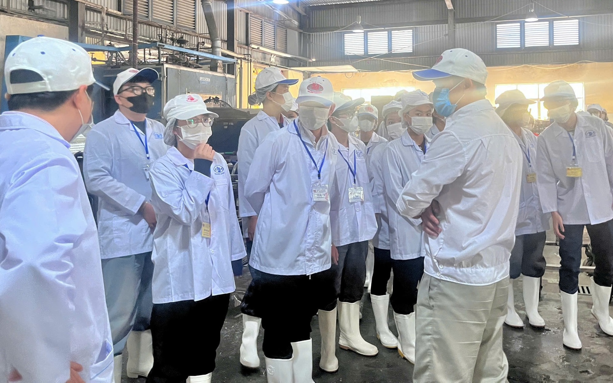 Đồ hộp Hạ Long tạm dừng sản xuất, 650 c&ocirc;ng nh&acirc;n lao động c&oacute; được nhận thưởng Tết Nguy&ecirc;n đ&aacute;n 2026?