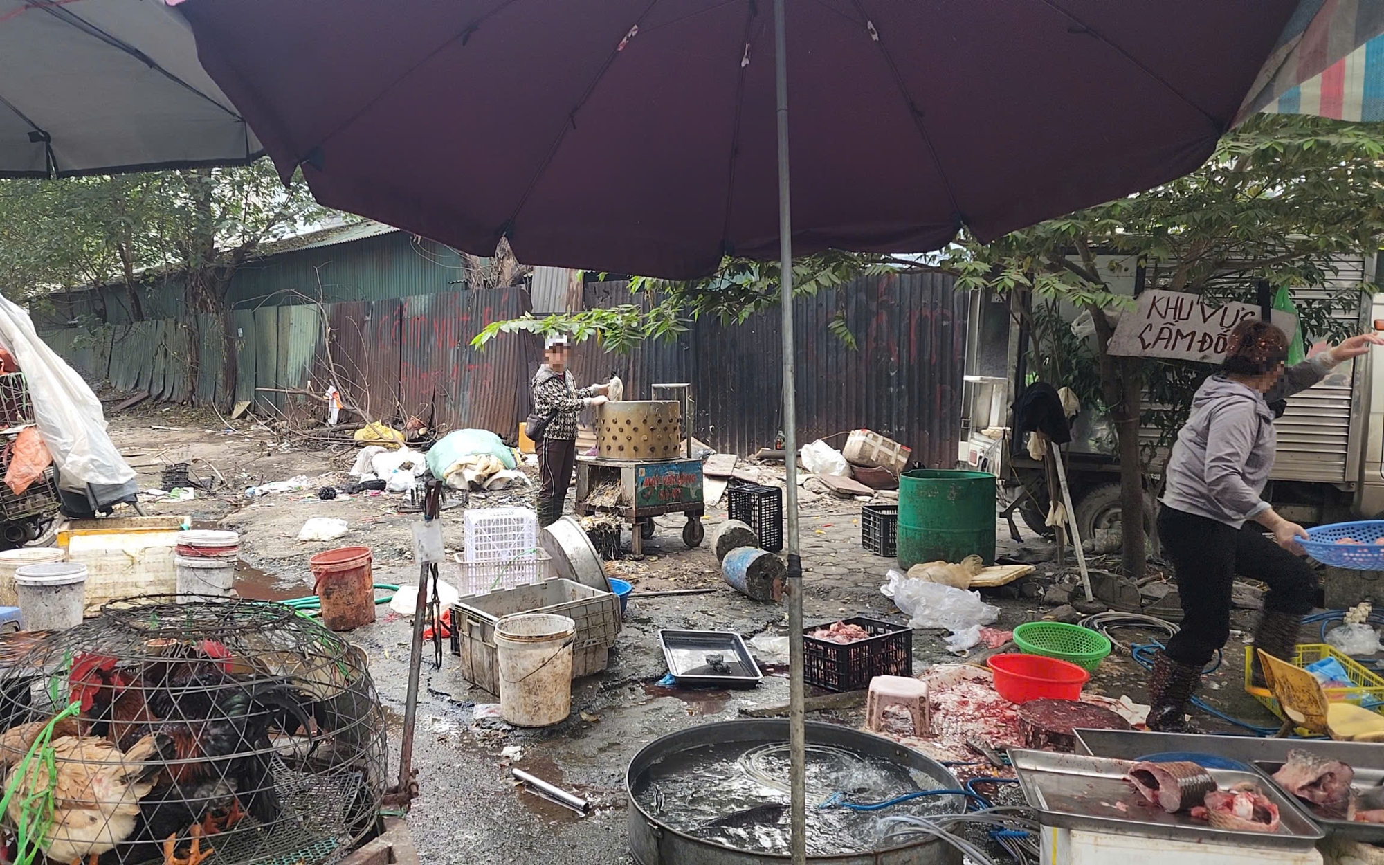 Hà Nội quyết liệt xử lý chợ cóc Hà Nội bảo vệ người tiêu dùng và trật tự đô thị - Ảnh 3. Hà Nội quyết liệt xử lý chợ cóc Hà Nội bảo vệ người tiêu dùng và trật tự đô thị - Ảnh 3.