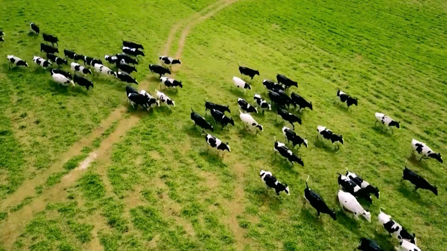 Tập đo&agrave;n TH: Khi đổi mới s&aacute;ng tạo l&agrave;m n&ecirc;n nội lực của một tập thể anh h&ugrave;ng- Ảnh 1.