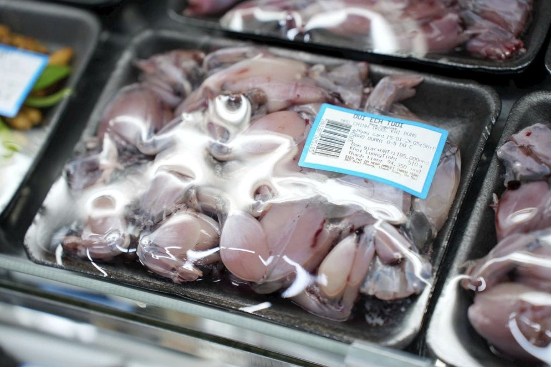 Động th&aacute;i mới của MM Mega Market sau ph&aacute;t hiện nhiều thực phẩm kh&ocirc;ng r&otilde; nguồn gốc xuất xứ b&agrave;y b&aacute;n c&ocirc;ng khai ở si&ecirc;u thị? - Ảnh 1.