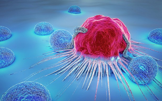 Th&oacute;i quen &acirc;m thầm "nu&ocirc;i lớn" tế b&agrave;o ung thư, nhiều người Việt đang mắc phải