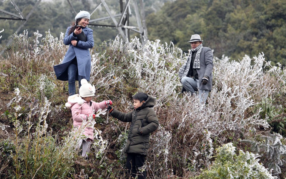 Tin s&aacute;ng 24/1: Miền Bắc ấm dần từ nay đến cuối th&aacute;ng 1; 10 h&agrave;nh vi bị coi l&agrave; trốn thuế theo quy định mới - Ảnh 6.