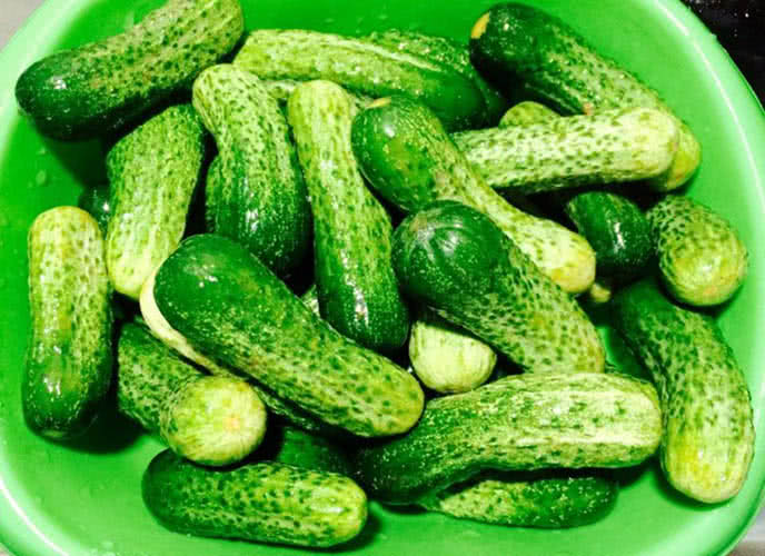 Dưa chuột bao tử - Lọai quả bổ sung nước v&agrave; điện giải tự nhi&ecirc;n cho sức khỏe - Ảnh 3.