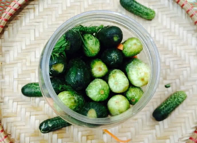 Dưa chuột bao tử - Lọai quả bổ sung nước v&agrave; điện giải tự nhi&ecirc;n cho sức khỏe - Ảnh 5.