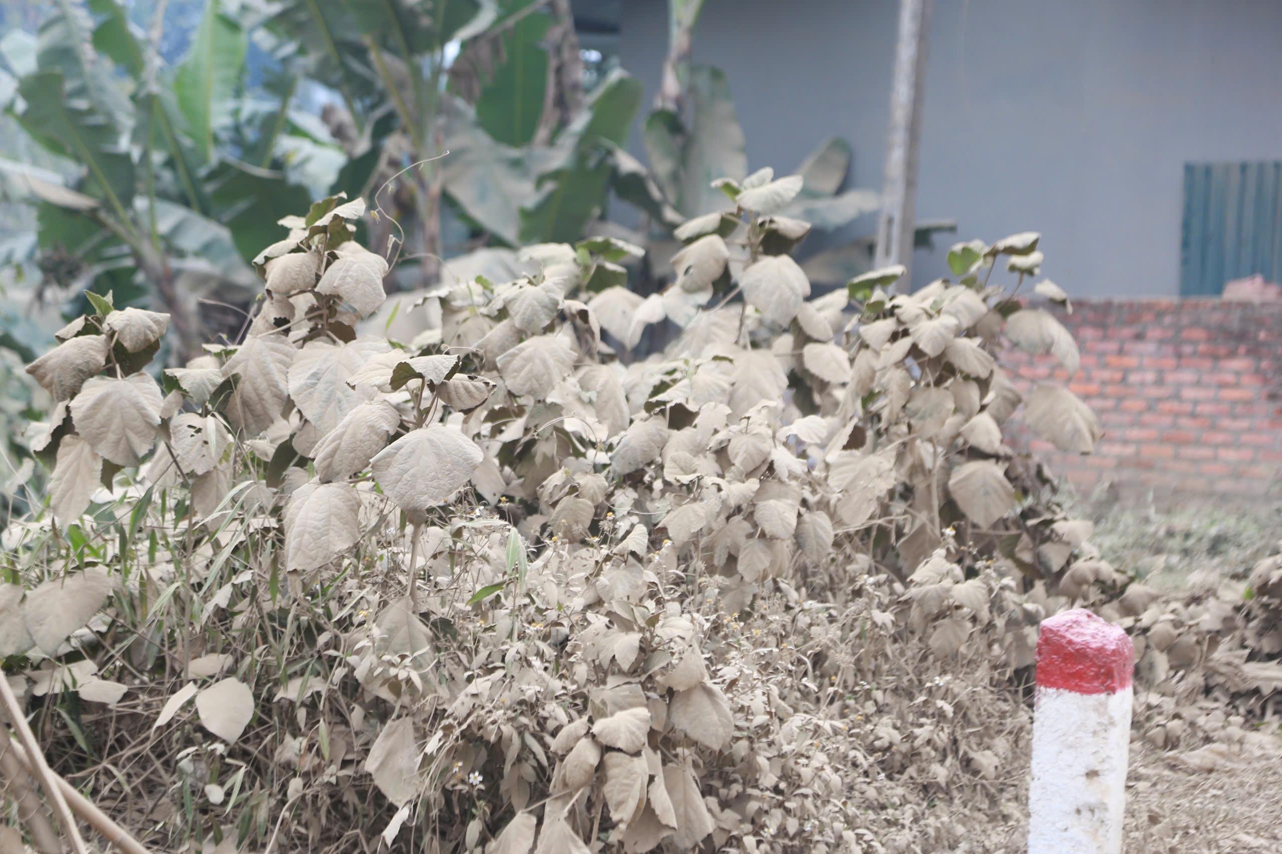 Ch&ugrave;m ảnh: Dọc tỉnh lộ 259 ở Th&aacute;i Nguy&ecirc;n đầy bụi, nước thải b&ecirc; t&ocirc;ng chảy tr&agrave;n ra m&ocirc;i trường - Ảnh 8.