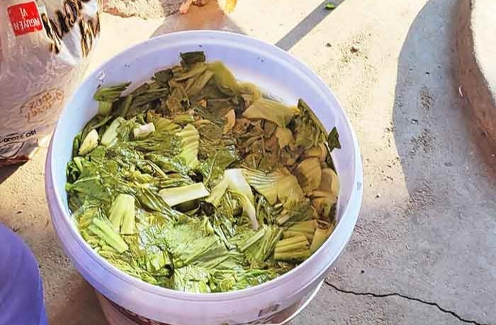 Tế bào ung thư 'thích' gì nhất? 4 nhóm thực phẩm người Việt cần hạn chế để giảm nguy cơ mắc bệnh - Ảnh 2.