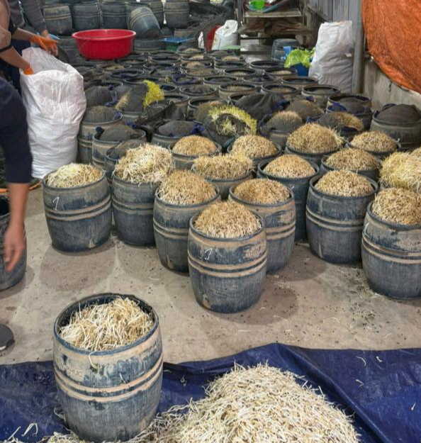 Sử dụng chất cấm sản xuất gần 3 tấn gi&aacute; đỗ, hai chủ cơ sở bị khởi tố - Ảnh 1.