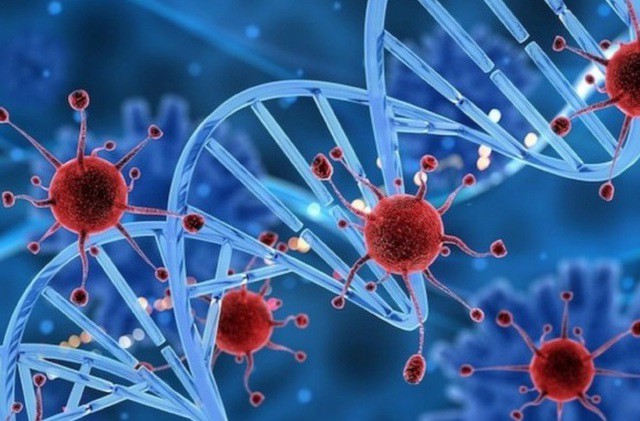 Đặc điểm của tế bào ung thư, người Việt cần hiểu đúng để ngăn ngừa bệnh - Ảnh 3. Đặc điểm của tế bào ung thư, người Việt cần hiểu đúng để ngăn ngừa bệnh - Ảnh 3.