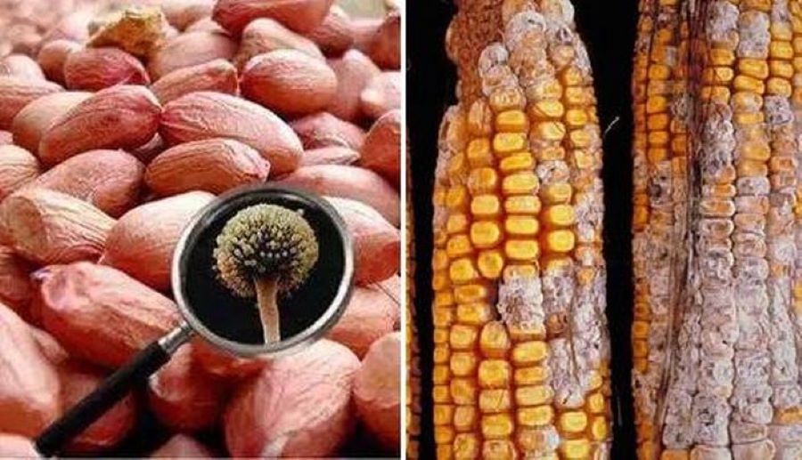 2 loại thực phẩm được xem là 'sát thủ' của gan, nhiều người Việt vẫn ăn hằng ngày mà không hay biết - Ảnh 3.