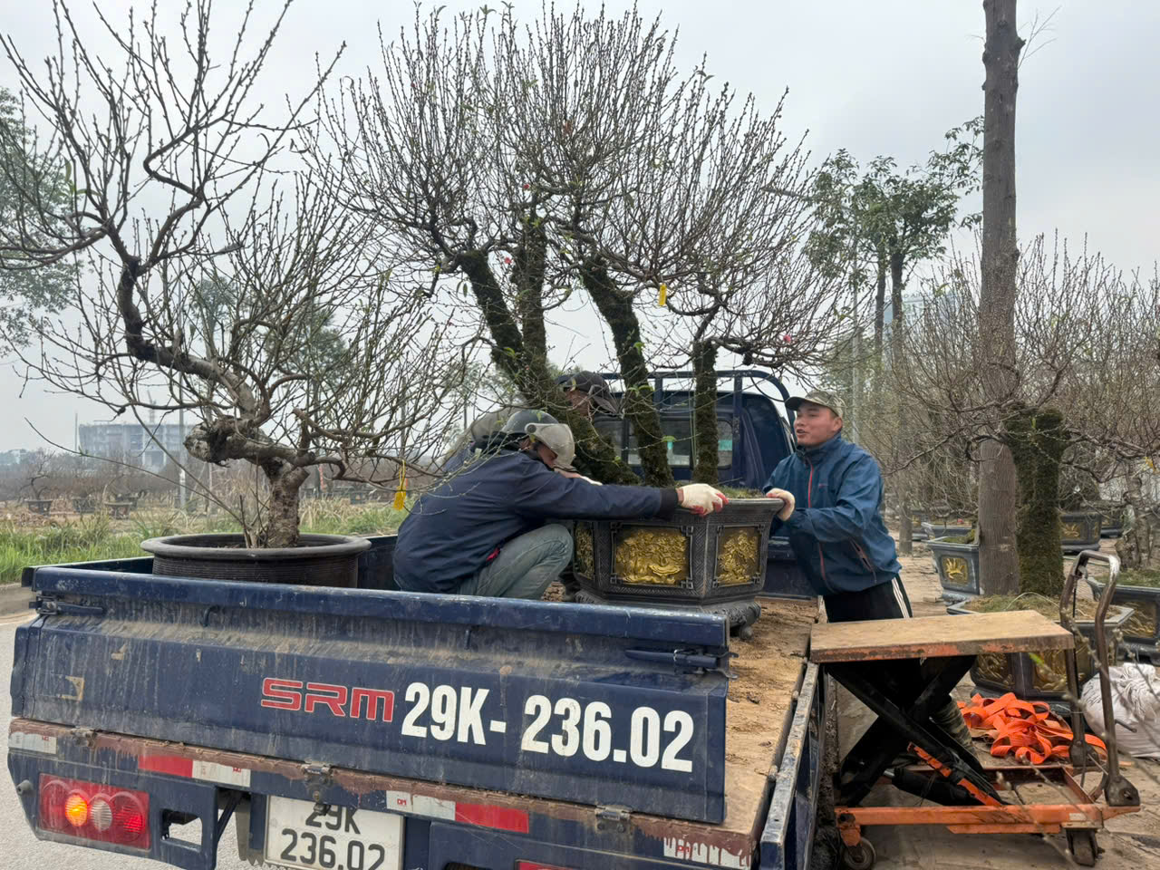 Nguồn cung đ&agrave;o tăng mạnh, thị trường Tết bước v&agrave;o cao điểm - Ảnh 1.