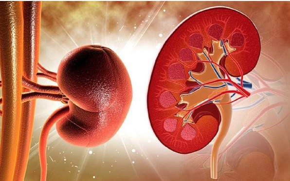 Thực phẩm bổ dưỡng được ví "siêu thực phẩm" nhưng người bệnh suy thận cần biết điều này khi ăn