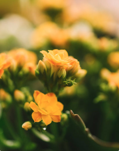 Người sinh 3 th&aacute;ng &Acirc;m lịch n&agrave;y nh&acirc;n duy&ecirc;n đại vượng: Ng&agrave;y c&agrave;ng gi&agrave;u nhờ nhiều mối quan hệ - Ảnh 3.