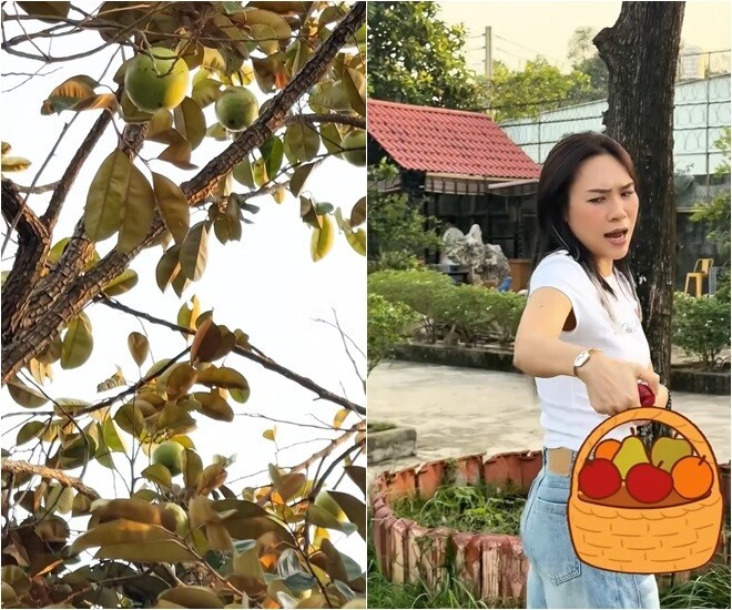 Cảnh tượng lần đầu xuất hiện trong nh&agrave; Mỹ T&acirc;m - Ảnh 8.