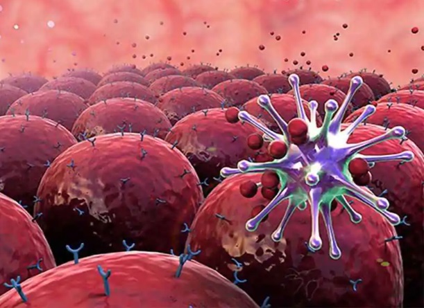 Để ngăn chặn sự h&igrave;nh th&agrave;nh v&agrave; ph&aacute;t triển của tế b&agrave;o ung thư, bạn cần hiểu r&otilde; cơ chế h&igrave;nh th&agrave;nh, duy tr&igrave; lối sống khoa học v&agrave; nhận diện sớm dấu hiệu bất thường... - Ảnh 1.