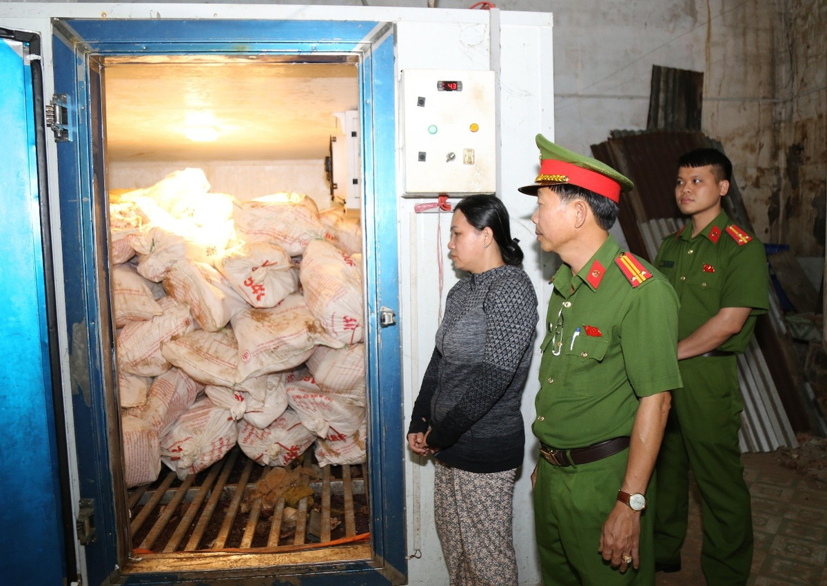 Ngăn chặn kịp thời hơn 1 tấn thịt lợn dịch tả ch&acirc;u Phi chuẩn bị tuồn ra thị trường - Ảnh 3.