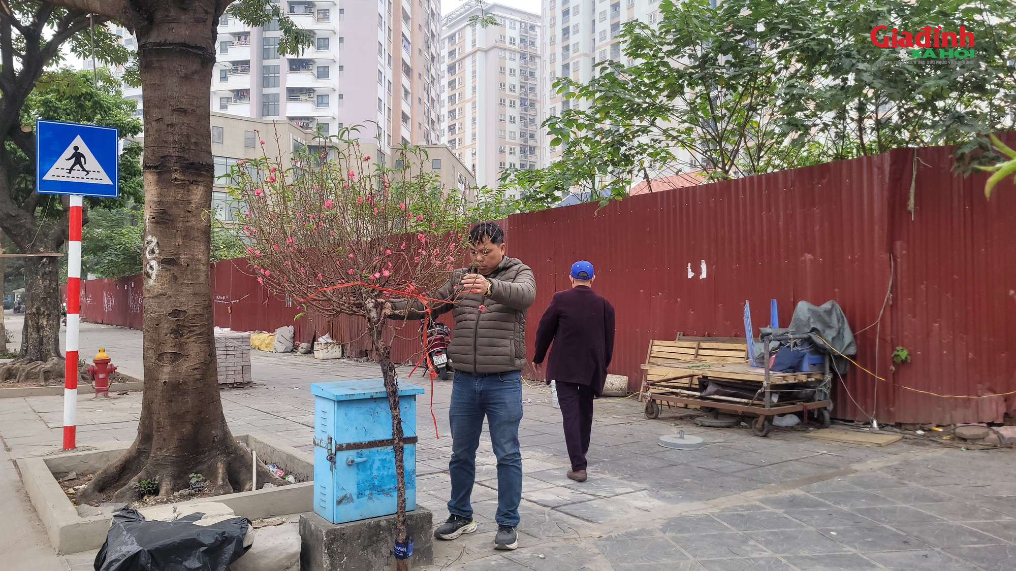 Giá cả đào rừng và đào Nhật tân tại Hà Nội cận Tết 2026Đào rừng 'xuống phố' Thủ đô ngày cận Tết, giá bán đắt đỏ, khởi điểm từ 120.000 đồng/cành - Ảnh 9. Giá cả đào rừng và đào Nhật tân tại Hà Nội cận Tết 2026Đào rừng 'xuống phố' Thủ đô ngày cận Tết, giá bán đắt đỏ, khởi điểm từ 120.000 đồng/cành - Ảnh 9.