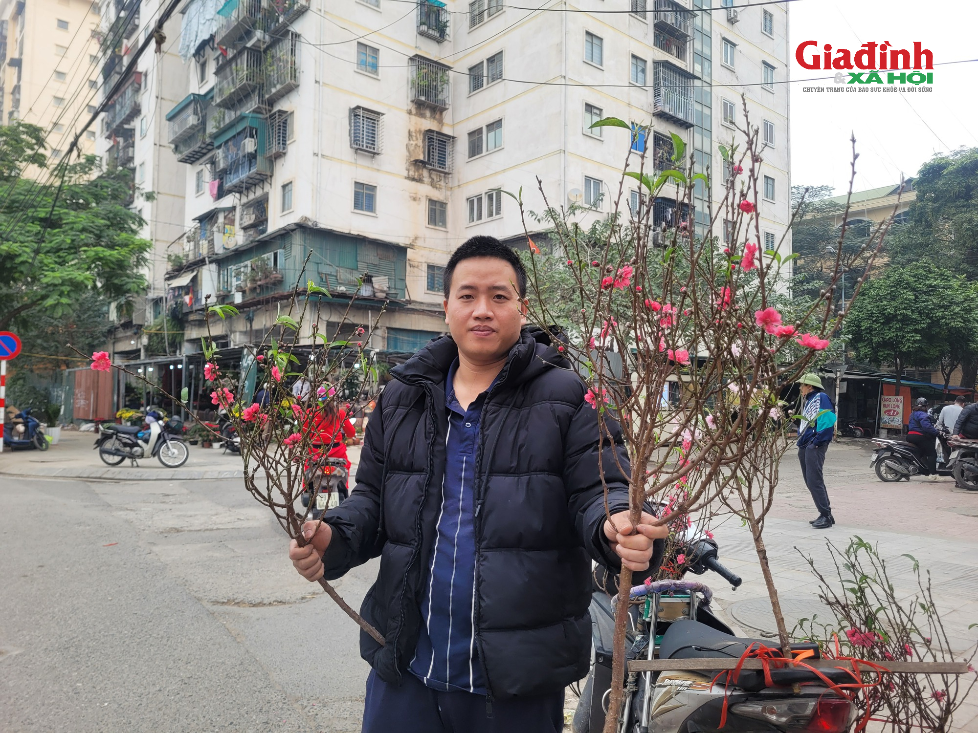 Giá cả đào rừng và đào Nhật tân tại Hà Nội cận Tết 2026Đào rừng 'xuống phố' Thủ đô ngày cận Tết, giá bán đắt đỏ, khởi điểm từ 120.000 đồng/cành - Ảnh 10. Giá cả đào rừng và đào Nhật tân tại Hà Nội cận Tết 2026Đào rừng 'xuống phố' Thủ đô ngày cận Tết, giá bán đắt đỏ, khởi điểm từ 120.000 đồng/cành - Ảnh 10.