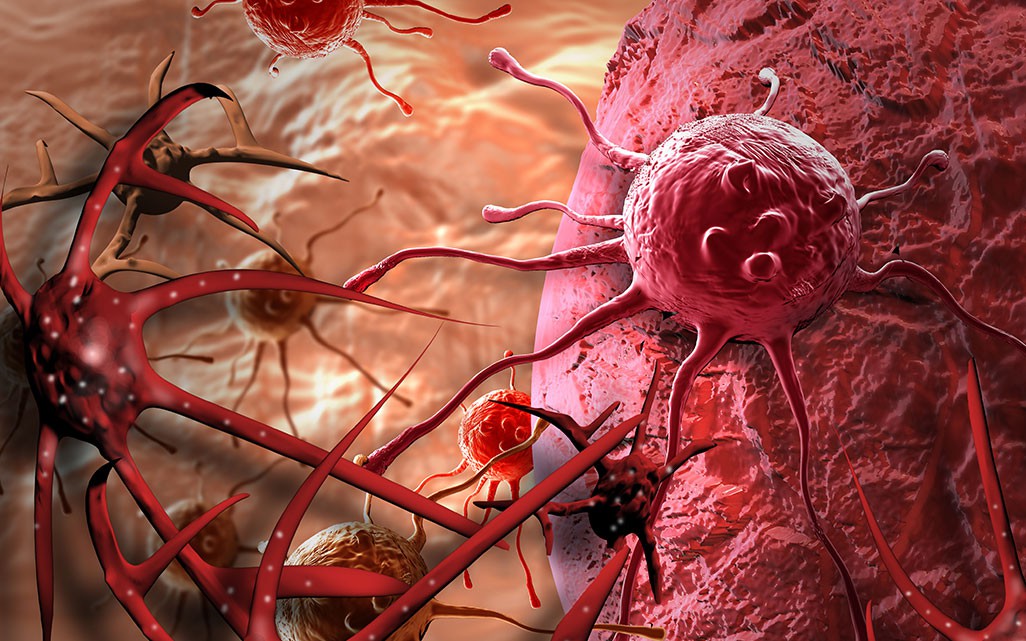 Loại quả gi&uacute;p ngăn ngừa tế b&agrave;o ung thư, người Việt n&ecirc;n ăn thường xuy&ecirc;n để ph&ograve;ng bệnh