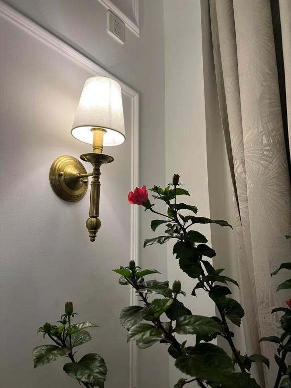 Dương Triệu Vũ b&aacute;n căn nh&agrave; 18 tỷ đồng ở Mỹ v&igrave; L&yacute; do bất ngờ - Ảnh 5.