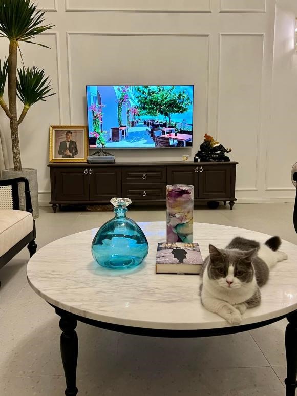 Dương Triệu Vũ b&aacute;n căn nh&agrave; 18 tỷ đồng ở Mỹ v&igrave; L&yacute; do bất ngờ - Ảnh 6.