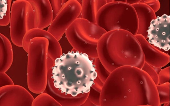 Thực phẩm l&agrave;m tăng nguy cơ h&igrave;nh th&agrave;nh tế b&agrave;o ung thư đại trực tr&agrave;ng, người Việt kh&ocirc;ng n&ecirc;n lạm dụng - Ảnh 2.