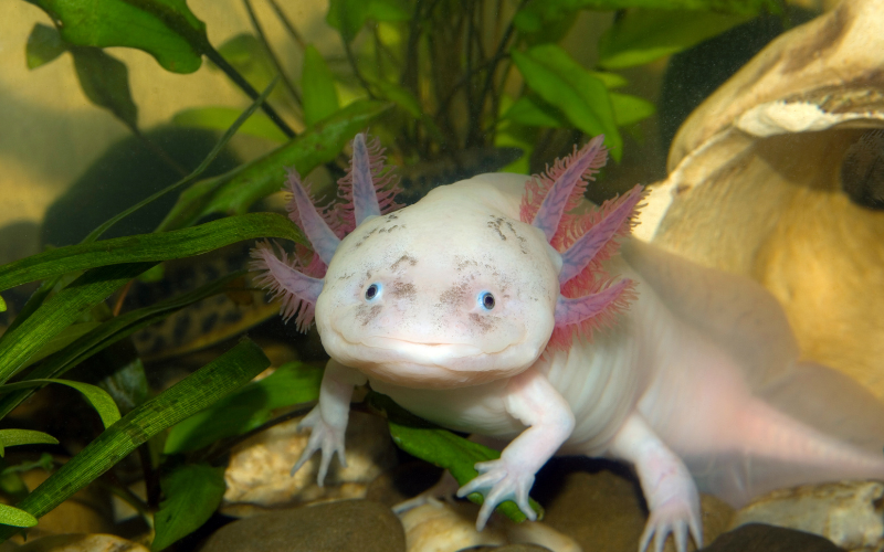 Tạo hóa chắc hẳn đã Tạo hóa chắc hẳn đã