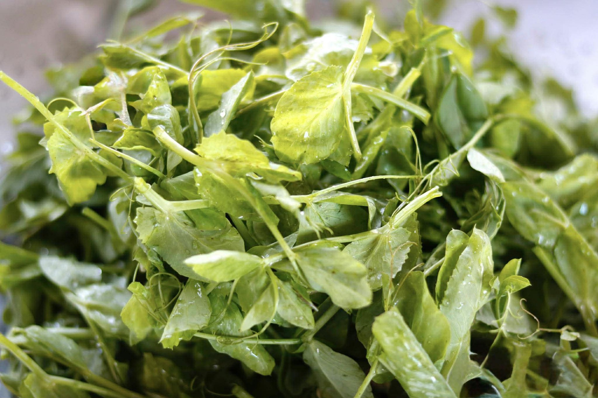 H&ocirc;m nay, d&ugrave; bận đến đ&acirc;u, đừng qu&ecirc;n ăn m&oacute;n canh n&agrave;y: Dễ nấu m&agrave; ngon lại gi&agrave;u dinh dưỡng v&agrave; gi&uacute;p chống lạnh- Ảnh 2.