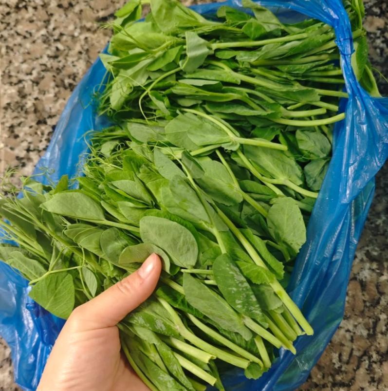 H&ocirc;m nay, d&ugrave; bận đến đ&acirc;u, đừng qu&ecirc;n ăn m&oacute;n canh n&agrave;y: Dễ nấu m&agrave; ngon lại gi&agrave;u dinh dưỡng v&agrave; gi&uacute;p chống lạnh- Ảnh 1.