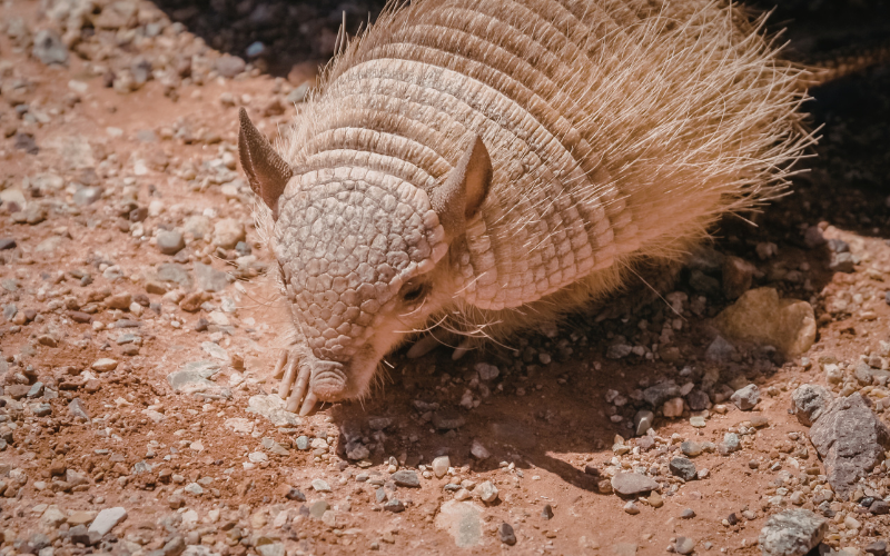 Tạo hóa chắc hẳn đã Tạo hóa chắc hẳn đã