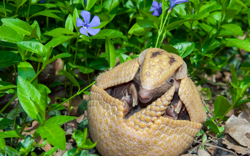 Tạo hóa chắc hẳn đã Tạo hóa chắc hẳn đã