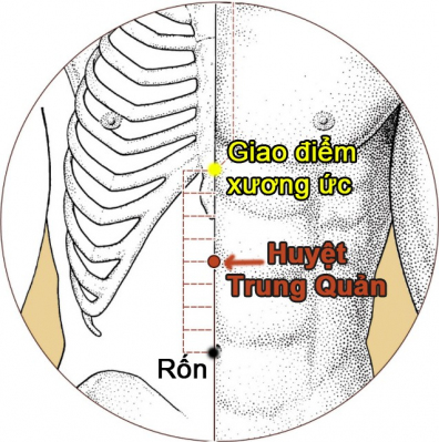 Chăm s&oacute;c tỳ vị, nền tảng bảo vệ sức khỏe m&ugrave;a lạnh- Ảnh 2.