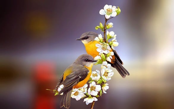 5 ng&agrave;y sinh bước v&agrave;o chu kỳ v&agrave;ng son trong năm 2026: D&aacute;m l&agrave;m sẽ dễ gi&agrave;u - Ảnh 4.