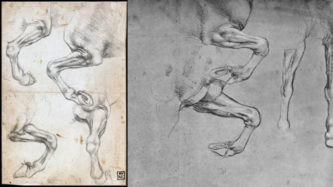 Ph&aacute;t hiện sốc về ADN của Leonardo da Vinci - Ảnh 2.