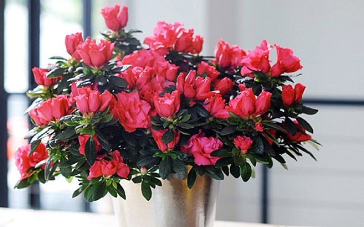 Ph&ograve;ng ngủ n&ecirc;n treo gương tr&ograve;n hay vu&ocirc;ng th&igrave; mới hợp phong thủy v&agrave; tốt cho sức khỏe - Ảnh 5.