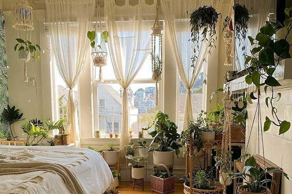 C&aacute;ch trang tr&iacute; cho kh&ocirc;ng gian cửa sổ bằng c&acirc;y xanh độc đ&aacute;o, gi&uacute;p kh&ocirc;ng gian sống trở n&ecirc;n tươi mới - Ảnh 3.