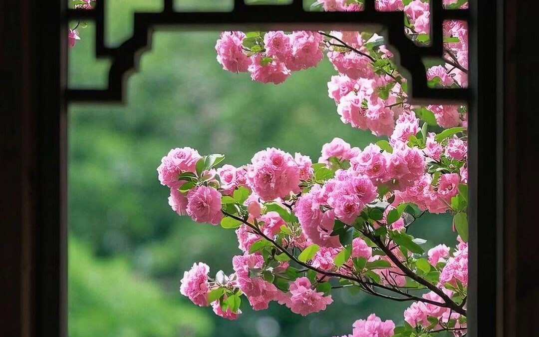 Giờ sinh &Acirc;m lịch của người tốt t&iacute;nh, đi đ&acirc;u cũng được y&ecirc;u qu&yacute; - Ảnh 4.