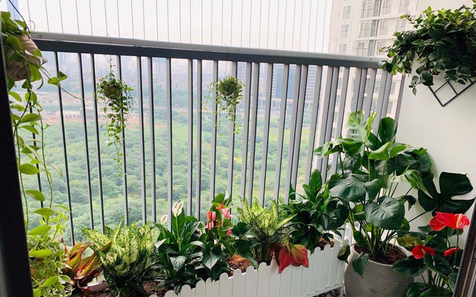 Thời điểm v&agrave; c&aacute;ch x&ocirc;ng nh&agrave; chuẩn để xả xui, đ&oacute;n may mắn, bảo vệ sức khỏe cho cả gia đ&igrave;nh - Ảnh 4.