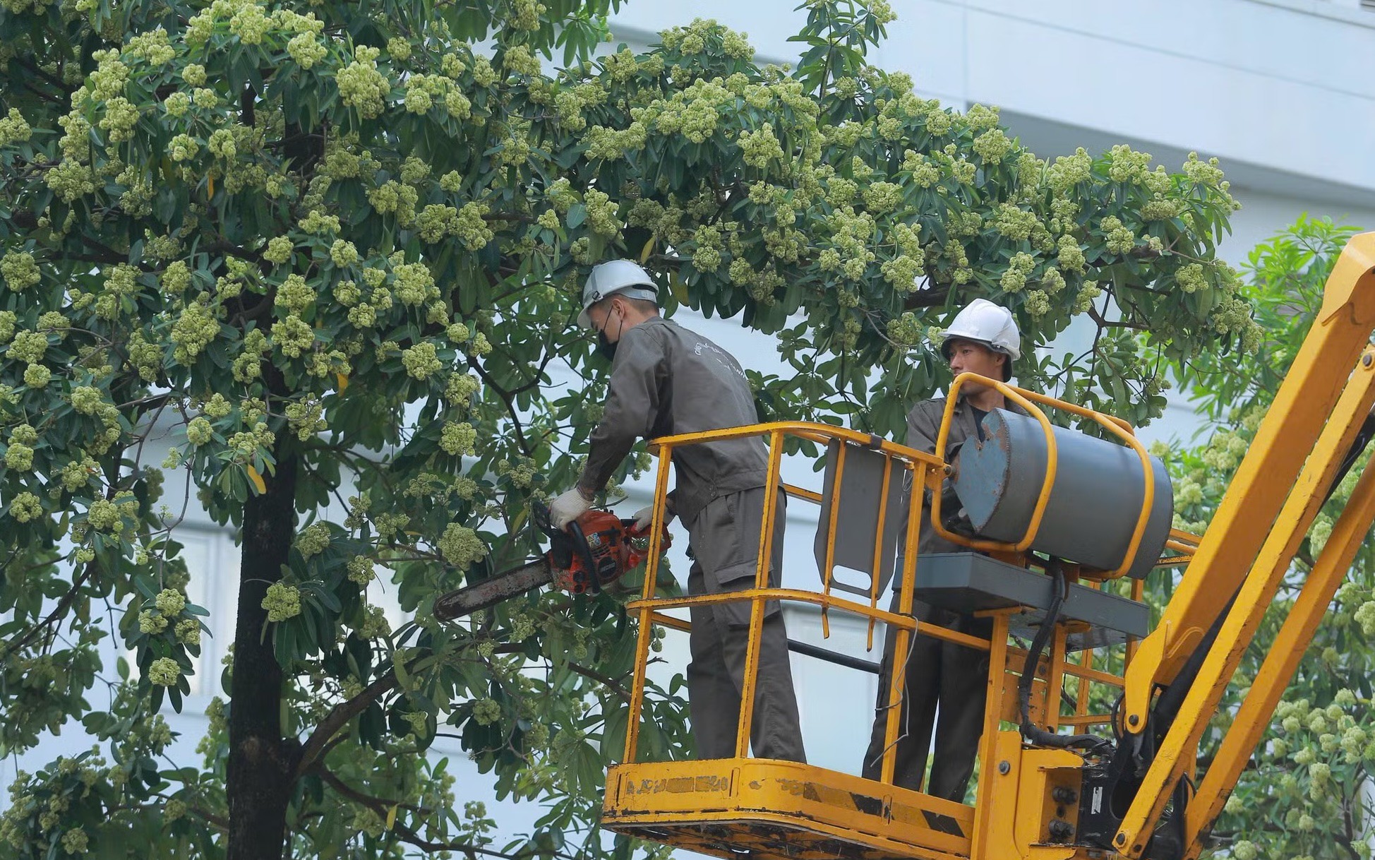 H&agrave; Nội đối mặt với 10 . 000 Tấn r&aacute;c thải x&acirc;y dựng mỗi ng&agrave;y cần giải ph&aacute;p khẩn cấp - Ảnh 1.