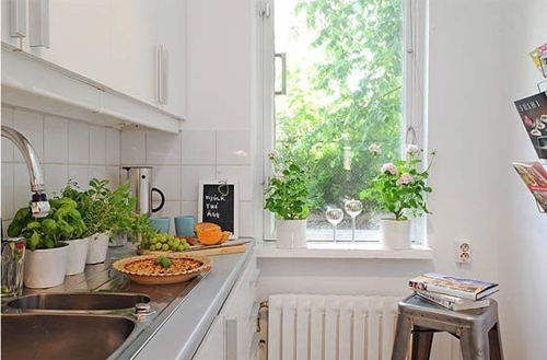 Vị tr&iacute; đặt c&acirc;y xanh v&agrave; &aacute;nh s&aacute;ng gi&uacute;p gia chủ thu h&uacute;t vượng kh&iacute; - Ảnh 3.