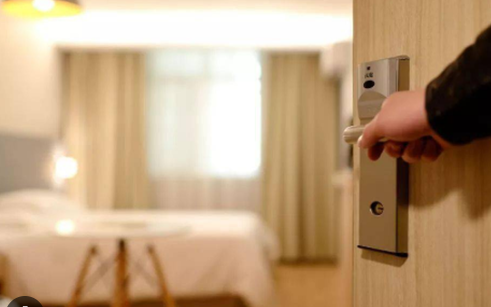 Lo&agrave;i c&acirc;y hấp thụ độc tố v&agrave; bụi bẩn lại mang &yacute; nghĩa b&igrave;nh an trong cuộc sống  - Ảnh 5.