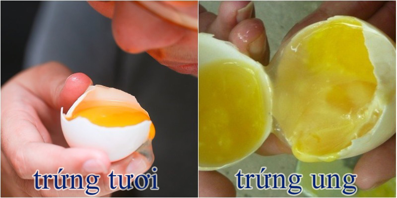 4 Mẹo chọn trứng g&agrave; tươi khi đi chợ kh&ocirc;ng cần đập vỏ , đảm bảo chất lượng - Ảnh 5.
