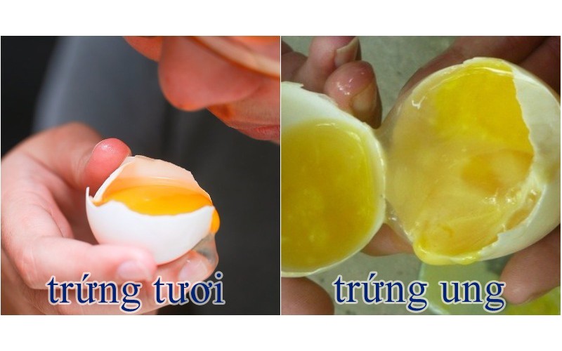 Trẻ ăn trứng g&agrave; c&oacute; bị dậy th&igrave; sớm kh&ocirc;ng? B&aacute;c sĩ giải đ&aacute;p thắc mắc - Ảnh 11.