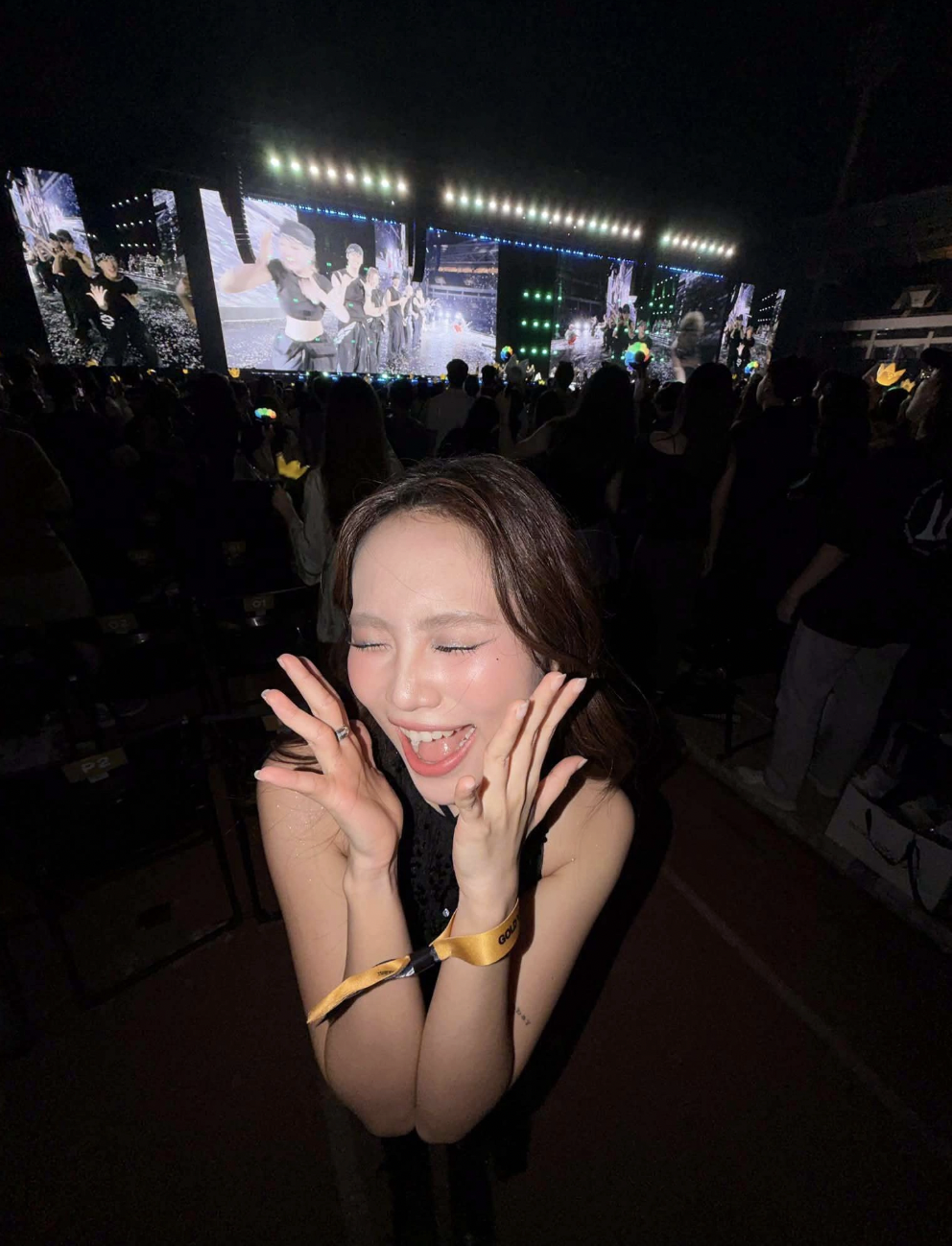 Vợ chồng Đỗ Mỹ Linh thu hút sự chú ý tại concert BIGBANG Hà Nội 2026 - Ảnh 6.