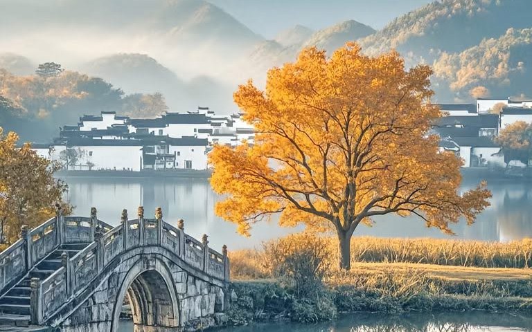 Ng&agrave;y sinh &Acirc;m lịch của người c&oacute; số gi&agrave;u muộn: Tuổi trẻ c&agrave;ng vất vả, về gi&agrave; c&agrave;ng sung t&uacute;c - Ảnh 6.