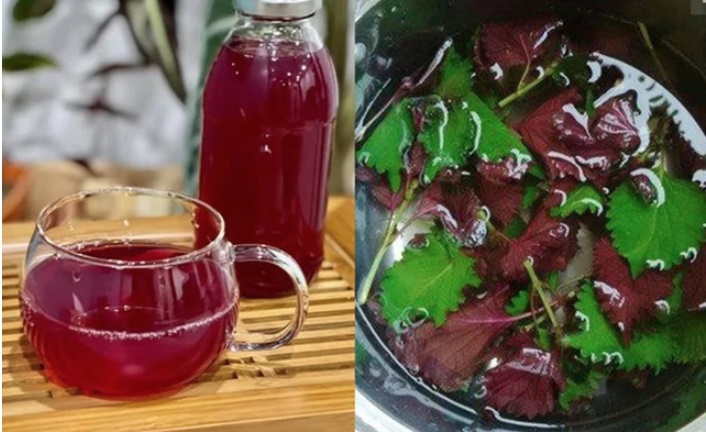 Loại lá rẻ tiền giúp đào thải axit uric cực tốt, người Việt nên ăn thường xuyên hơn - Ảnh 1.
