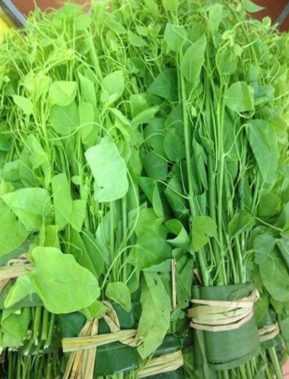 Rau b&ograve; khai - vị thuốc hỗ trợ ti&ecirc;u h&oacute;a v&agrave; giải độc tự nhi&ecirc;n hiệu quả - Ảnh 1.