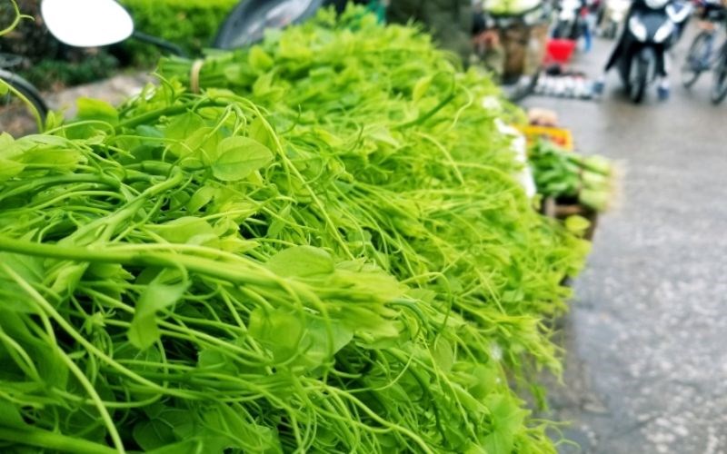 Rau b&ograve; khai - vị thuốc hỗ trợ ti&ecirc;u h&oacute;a v&agrave; giải độc tự nhi&ecirc;n hiệu quả - Ảnh 3.