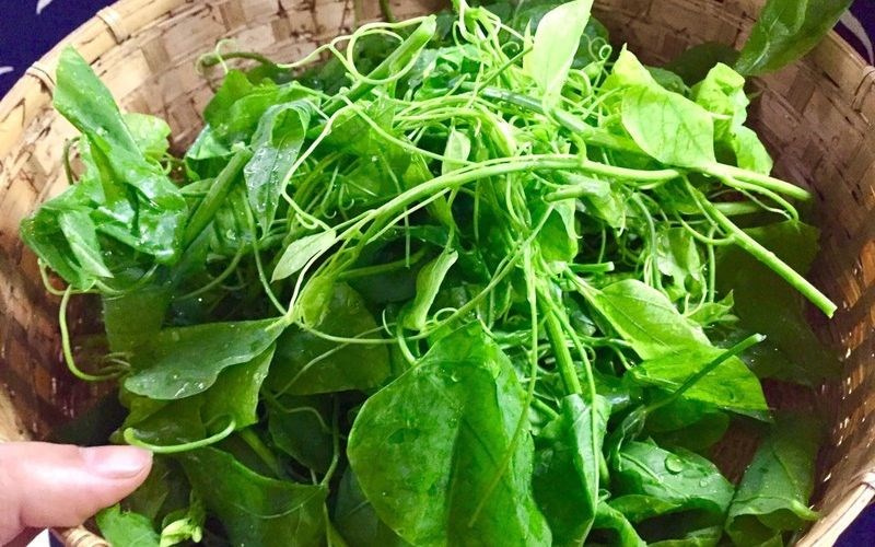 Rau b&ograve; khai - vị thuốc hỗ trợ ti&ecirc;u h&oacute;a v&agrave; giải độc tự nhi&ecirc;n hiệu quả - Ảnh 5.