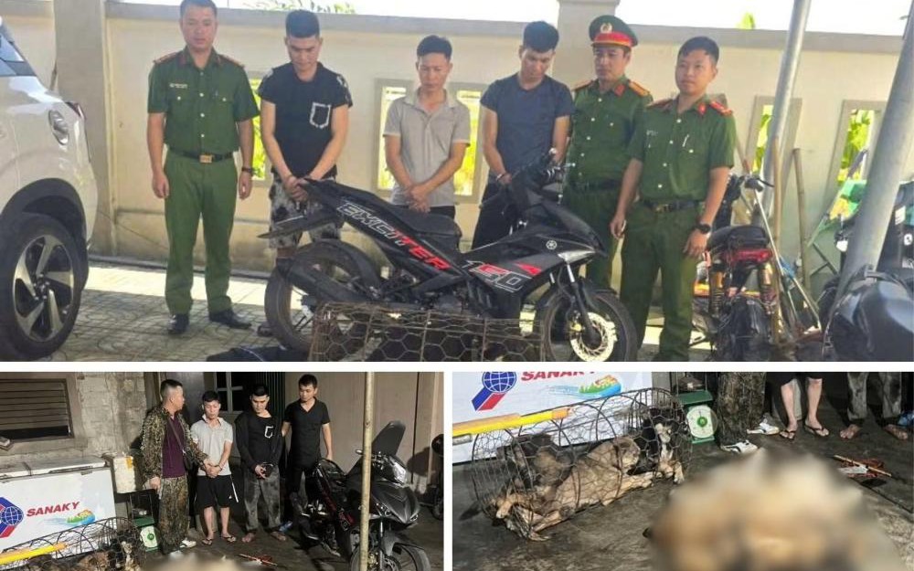 Trộm xe m&aacute;y ở Nghệ An đưa về H&agrave; Tĩnh ti&ecirc;u thụ - Ảnh 2.